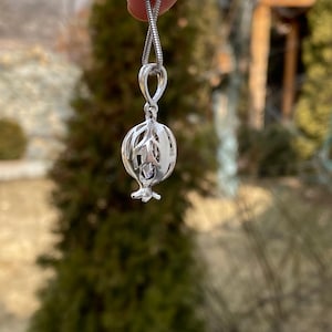 May include: A silver necklace featuring a delicate, openwork pomegranate pendant. The pendant is detailed with a small, clear gemstone.