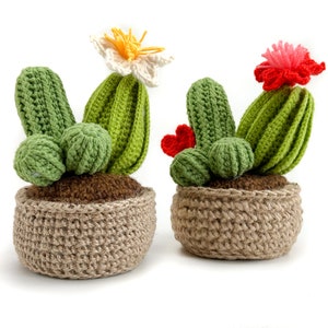 Può includere: Due piante di cactus all'uncinetto in vasi marroni. Il cactus a sinistra ha un fiore bianco con accenti gialli. Il cactus a destra ha un fiore rosso.