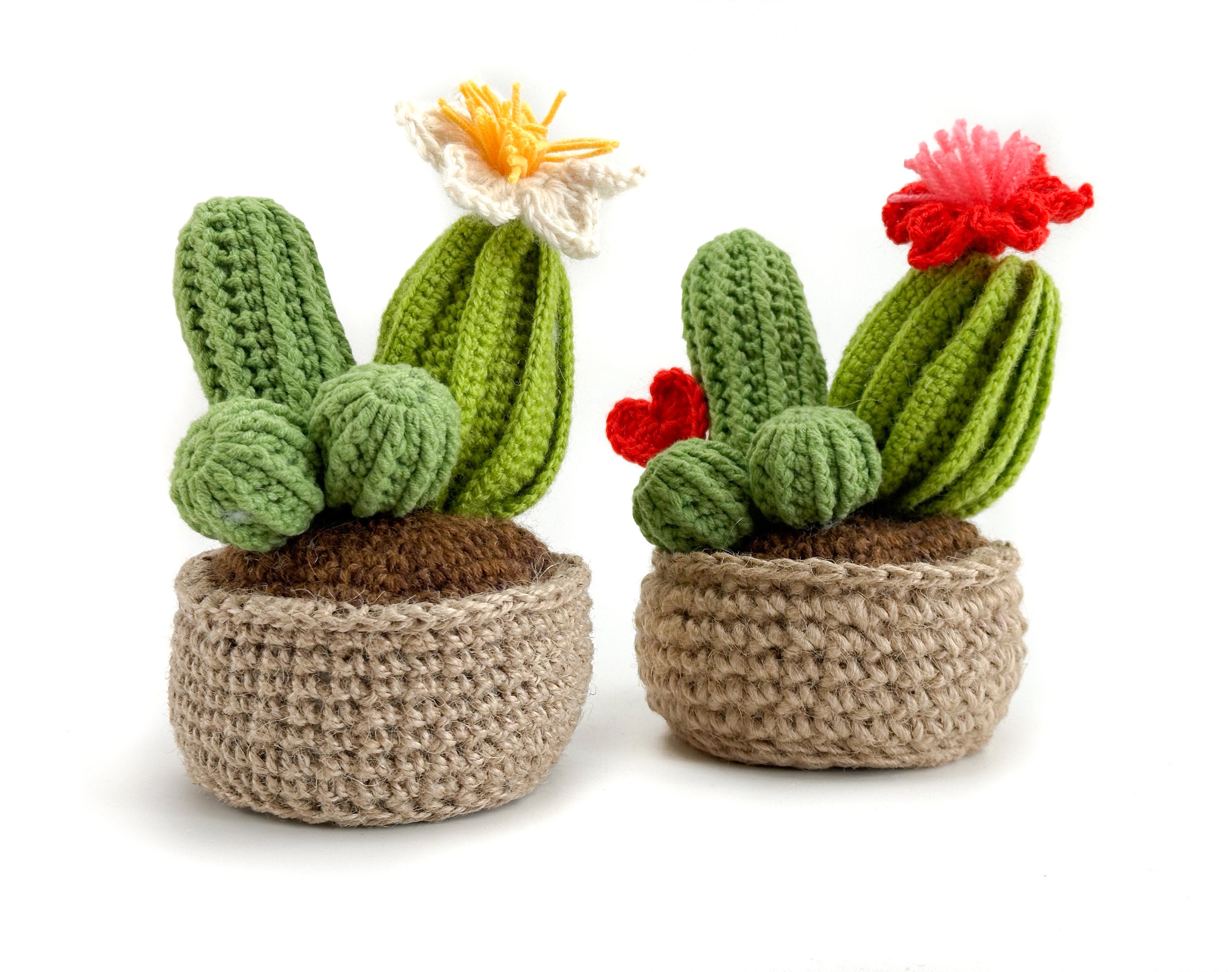 39 Free and Paid Crochet Cactus Patterns You’ll Want To Try 6 Crocheted Cactus in Pot