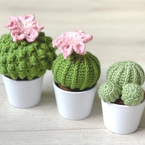 Può includere: Tre cactus all'uncinetto fatti a mano in vasi bianchi. I cactus sono di varie tonalità di verde, uno con un fiore rosa all'uncinetto. I vasi sono bianchi e poggiano su una superficie di legno chiaro. Un affascinante oggetto di arredamento fatto a mano.