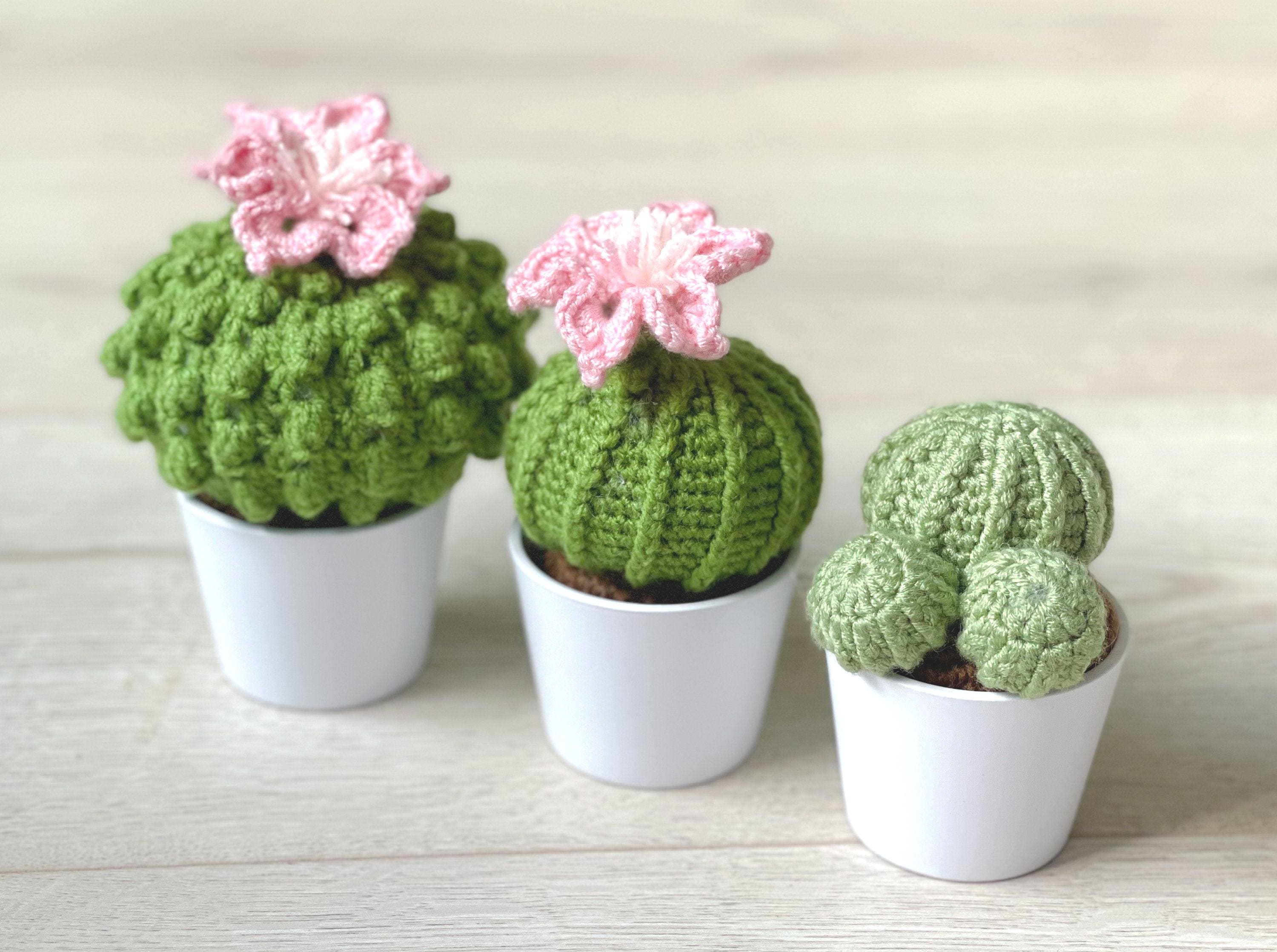 かぎ針編みサボテンの陶器鉢：手作りあみぐるみ多肉植物 - Etsy 日本