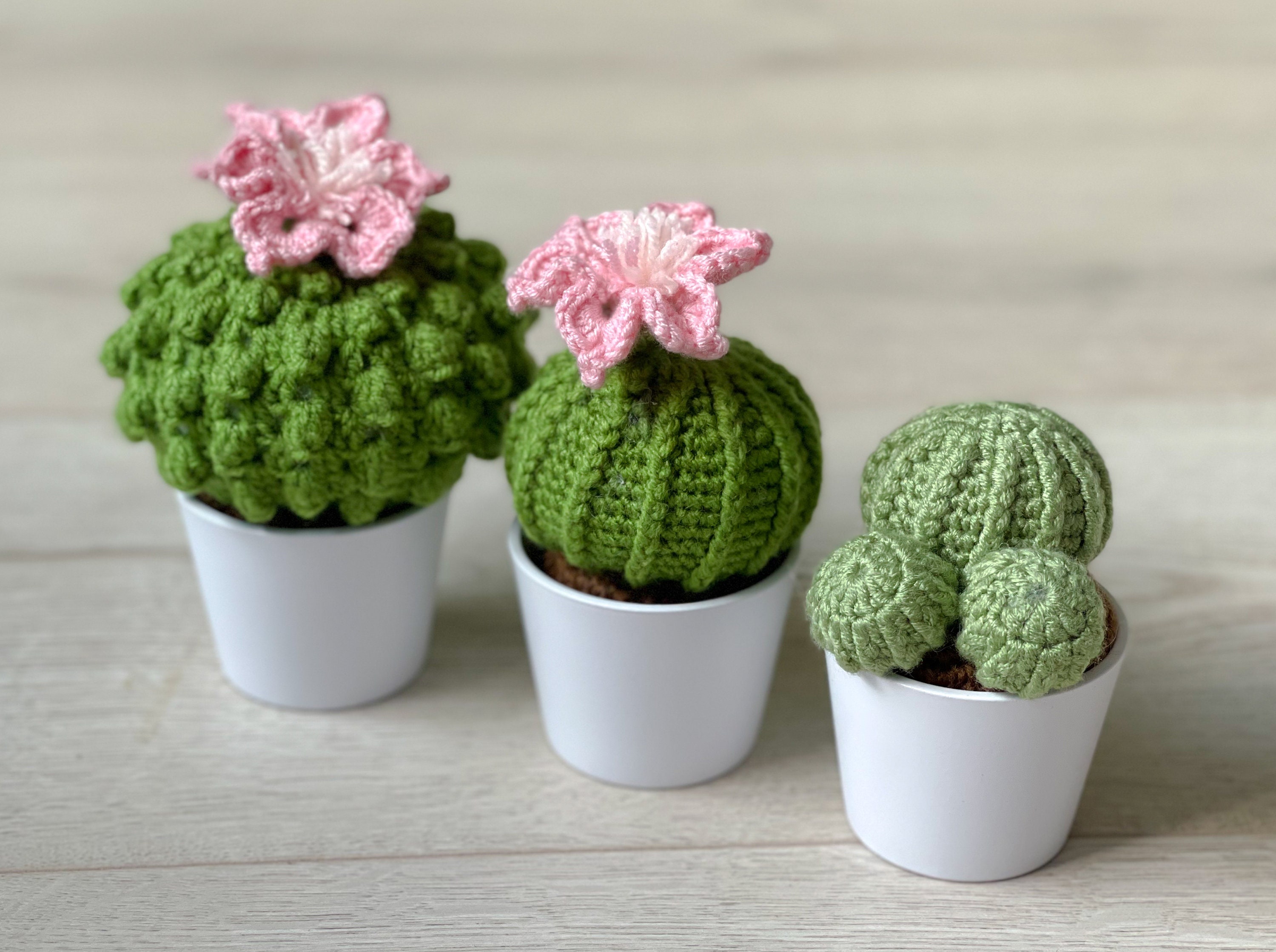 Cactus All'Uncinetto Positivo - Bambolina 10cm Con Messaggio Motivazionale - Foto 8