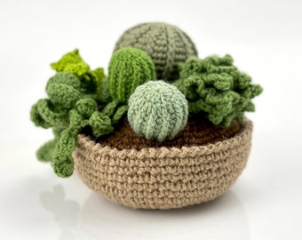 Cactus au crochet dans un pot, fausse plante pour décoration maison faite à la main, plante amigurumi, plantes grasses en pot