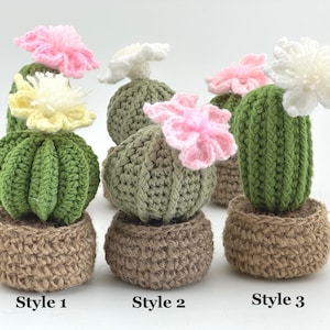 Puede incluir: Plantas de cactus de ganchillo hechas a mano en pequeñas macetas tejidas. Los cactus son verdes con acentos florales rosas, blancos y amarillos. La imagen incluye el texto "Style 1", "Style 2" y "Style 3".