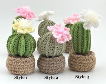 Crochet Cactus Pot: Handmade Amigurumi Succulent - Eco-Friendly Decor