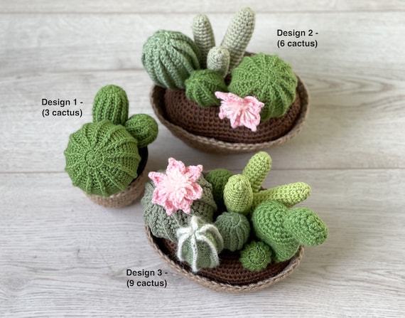 Hkel Kaktus mit Blume: Handgemachte Sukkulenten Dekoration im Topf -  Etsy.de