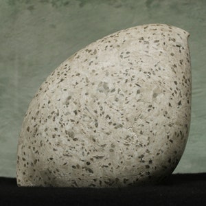 以下が含まれることがあります： まだら模様の、明るい色の抽象彫刻。彫刻は丸みを帯びた非対称の形をしており、黒い表面に立っています。背景はくすんだ緑色です。