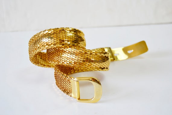 snake belt, golden snake, snake scales, golden bel