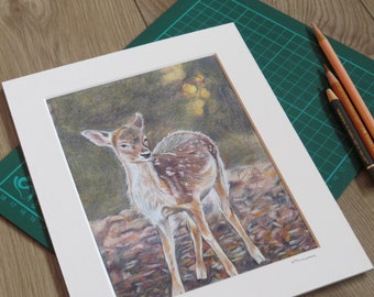 FAWN Art Prints, Deer Wall Art, Fine Art Print, Gift for Deer Lover