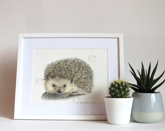 HEDGEHOG - Original Framed Coloured Pencil Art, 8" x 6", Hedgehog Wall Art, Cute Animal Art