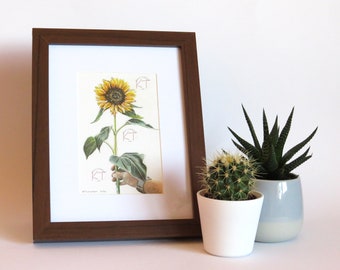 SUNFLOWER ART- Original Framed Coloured Pencil Art,  6"x4" flower drawing, floral wall art, sunflower lover