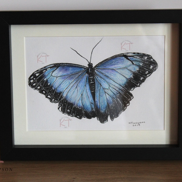 BLUE MORPHO BUTTERFLY - Original Framed Coloured Pencil Art, 7"x5", Butterfly Wall Art, Butterfly Gift