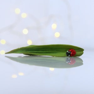 May include: A red and black ladybug sits on a green leaf against a white background with blurred out white lights.