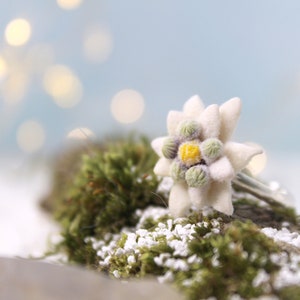 Ring Edelweiss Wanderlust Jewelry Alpine Mountain Flower Open Adjustable Rings for Women or Men 925 Sterling Silver or Stainless Steel Base