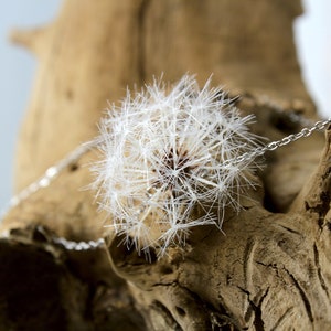 Dandelion Cottagecore Pendant on a Stainless Steel Minimalist Choker Chain Mori Girl Style All Parachutes is Made by Hand