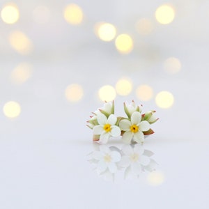 Forget Me Not White Flower Studs Earrings Myosotis Tiny Botanical Jewelry Stud Earrings for Little Girl