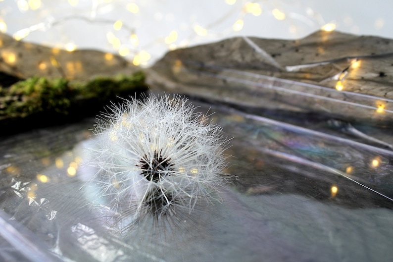 Dandelion Flower Brooch, Large Flower Brooch, Miracle White Textile Flower Pin in Cottagecore Style. All Parachute is made by Hand afbeelding 6