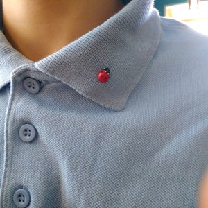 May include: A light blue collared shirt with three buttons and a small red ladybug pin on the collar.