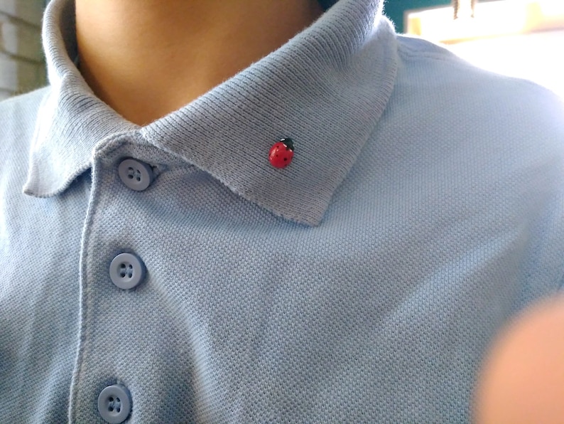 May include: A light blue collared shirt with three buttons and a small red ladybug pin on the collar.