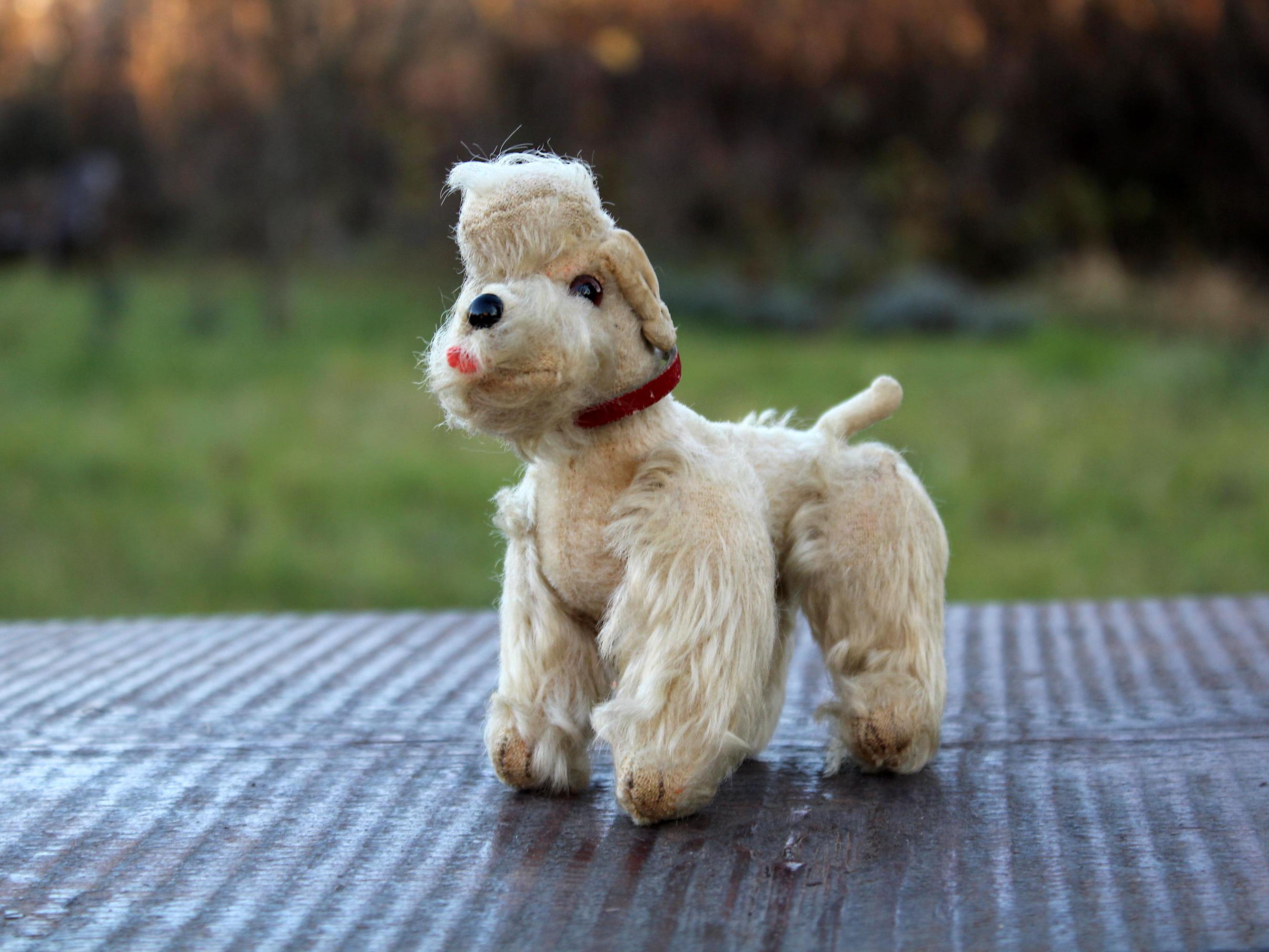 Steiff Poodle - Etsy