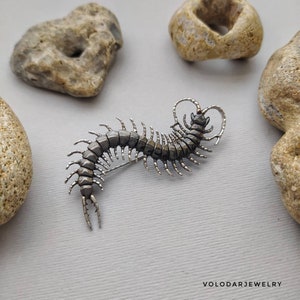 Scolopendra brooch Scolopendra pin