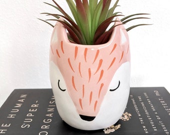 White Fox Face Earthenware Pot Planter