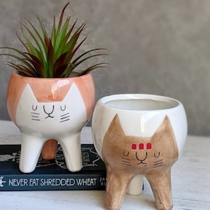 Maceta de cerámica con forma de gato, color blanco y marrón, para gatos, con orificio de drenaje, para suculentas