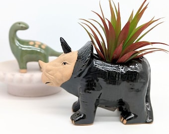 Dark Green Dinosaur Planter Pot, 11cm | Dinosaur Gifts | Animal Gifts | Succulent Planter