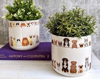 Cats and Dogs Planter Pot, 14cm