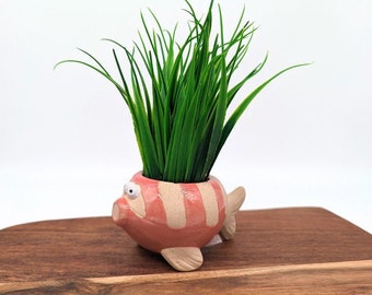 Bloempot koraalvis: keramische succulente plantenbak (11 cm)