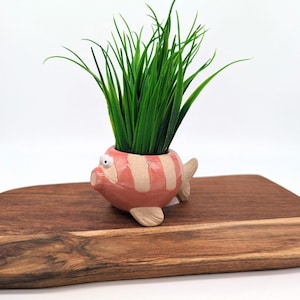 Korallenfisch Blumentopf, 11cm | Fische Geschenke | Sukkulenten Pflanzer | Töpfe für Pflanzen | Netter Spaß-Blumentopf | Meerestier-Topf