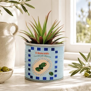 May include: A light blue cylindrical planter featuring a graphic of green olives and the text Pimente Cocktail Olives. The planter has a blue checkered border and contains a spiky green plant with reddish tips, sitting near a bowl of olives.