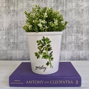 May include: White ceramic planter with a green parsley illustration and the word "parsley" written in black cursive. The planter is sitting on a purple book with the title "Antony and Cleopatra" printed on the cover.
