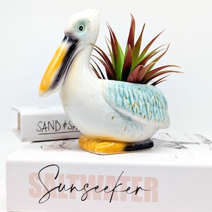 May include: A ceramic pelican planter in white, blue, and yellow. It contains a faux plant with green and burgundy leaves. The planter sits on a book with the word "Sunseeker" in cursive. The pelican is a decorative item.