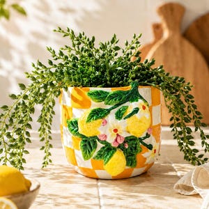 May include: A ceramic planter featuring a yellow and white checkered pattern with a raised, three-dimensional relief of yellow lemons, green leaves, and white blossoms on the front. A trailing green succulent plant grows from the top.