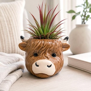 May include: A brown ceramic planter shaped like a Highland cow head with a cream-coloured muzzle, black eyes, and small horns. The planter holds a spiky green and red faux succulent plant with long, pointed leaves extending from the top of the head.