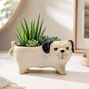 May include: A cream-colored ceramic planter shaped like a pug dog with black ears and a black nose. The planter features a textured surface and holds a collection of green succulent plants, including a tall aloe vera and smaller rosette succulents.