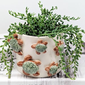 Könnte beinhalten: Ein cremefarbener Keramik-Blumentopf, verziert mit braunen und grünen 3D-Schildkrötenfiguren. Der Topf ist mit einer hängenden grünen Pflanze gefüllt. Die Schildkröten sind gleichmäßig um die Außenseite des Topfes angeordnet.