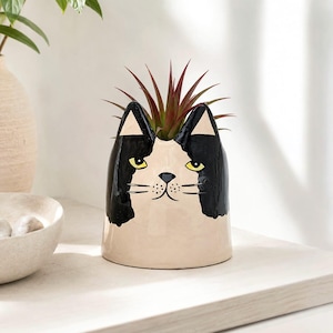 Zwarte smoking kat keramische pot | Plantenbak voor huisdieren | Kitty-cadeaus