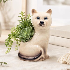 May include: A ceramic cat-shaped planter with a glossy cream-colored finish, dark brown accents on the tail and ears, and blue eyes. The planter contains a cluster of green succulent plants, including a rosette-shaped succulent and trailing stems.
