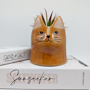 Maceta de cerámica con diseño de gato sabio marrón / Maceta para suculentas / Regalo para mamás y papás gatunos / Regalos de jardinería