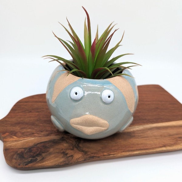 Blue Fish Planter Pot, 19cm | Fish Gifts | Succulent Planter | Pots for Plants | Cute Fun Planter | Sea Animal Pot