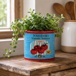 Ceramic Planters