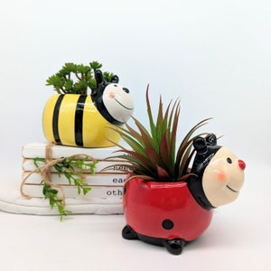 May include: Two ceramic planters shaped like a bee and a ladybug. The bee planter is yellow and black with a white face and is holding a small green succulent. The ladybug planter is red with black spots and a white face and is holding a green succulent.