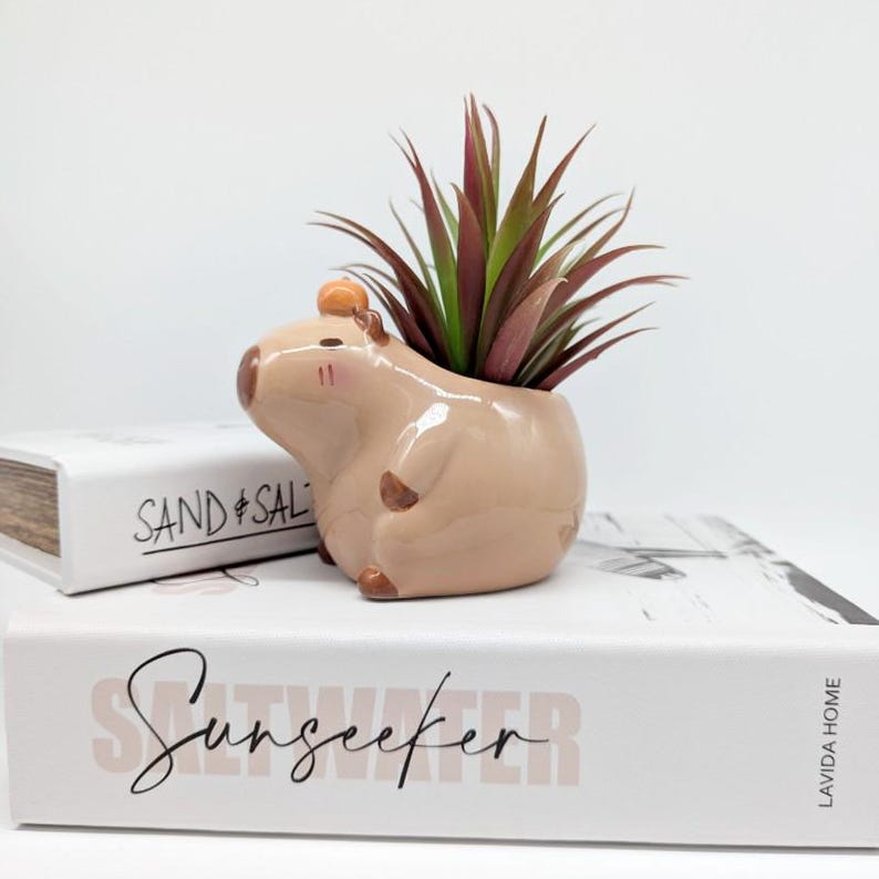 Capibara keramische plantenbak | Capibara-cadeaus | Dierenplanter | Vetplantenbak afbeelding 8