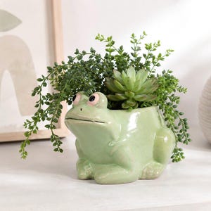 Peut inclure: Un cache-pot en céramique vert clair en forme de grenouille avec de grands yeux ronds aux accents roses. Le pot contient une plante succulente verte et une plante feuillue retombante, dont le feuillage déborde sur les côtés de la tête.