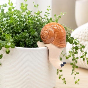 May include: A ceramic snail figurine with a glossy brown spiral shell and a cream-coloured body, designed to hook onto the rim of a white planter. The snail features two small black eyes and is positioned on the edge of a pot containing a green plant.