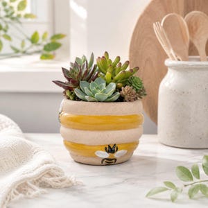 Bee Ceramic Planter Pot | Honeycomb Decor | Succulent Planter