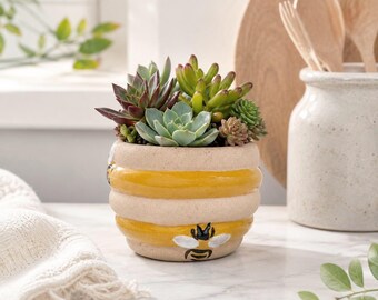 Bee Ceramic Planter Pot | Honeycomb Decor | Succulent Planter