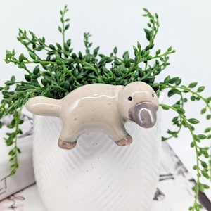 Platypus Pot Hanger Sitter